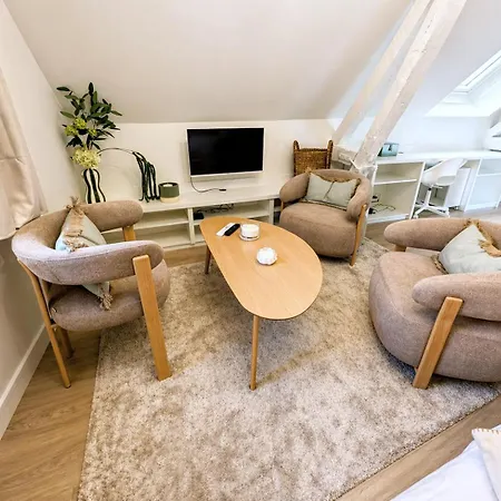 Sous Les Toits De Pour 3 En Centre Historique Apartman